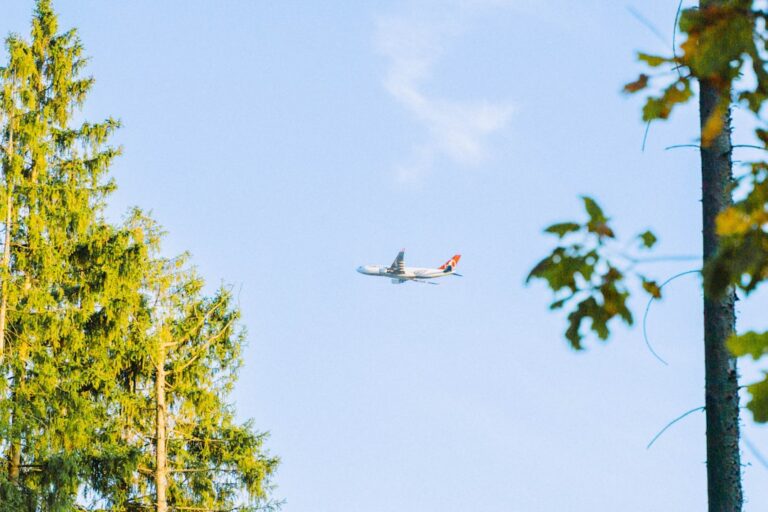 Travel Accessories That Make Long Flights More Comfortable